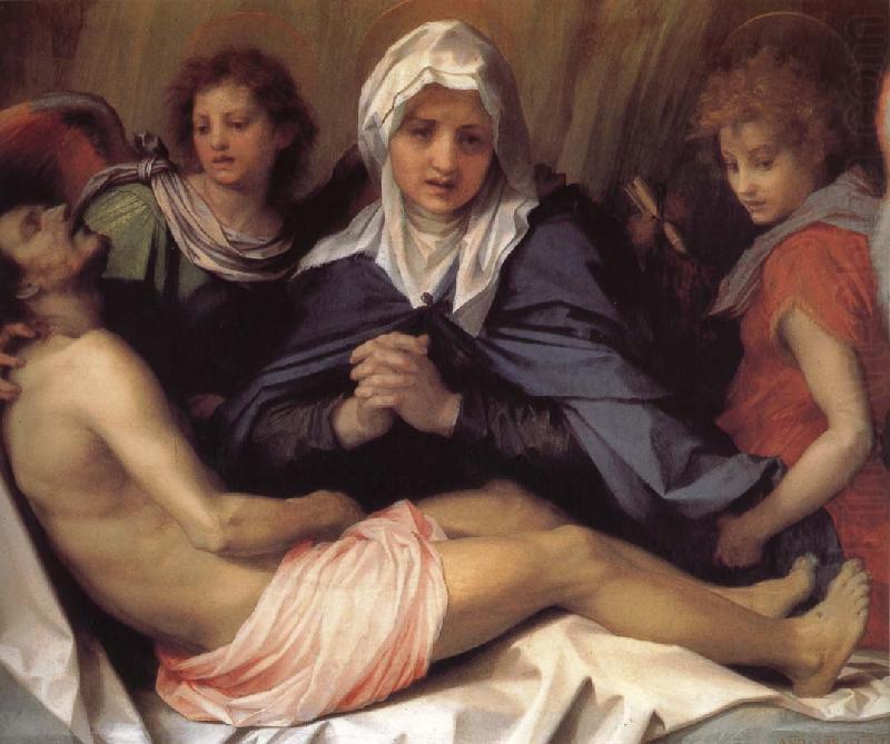 Andrea del Sarto Virgin Mary lament Christ china oil painting image